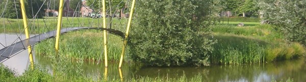 Woonwijk de Overlaet